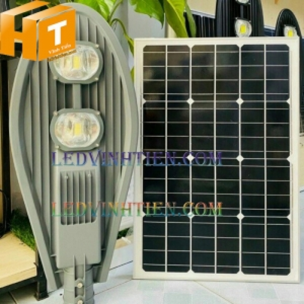 Đèn đường NLMT chiếc lá 100w cao cấp