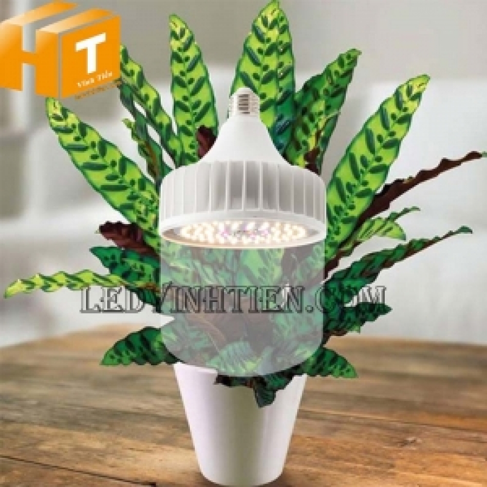 Đèn led trồng cây 50W WR Rạng Đông