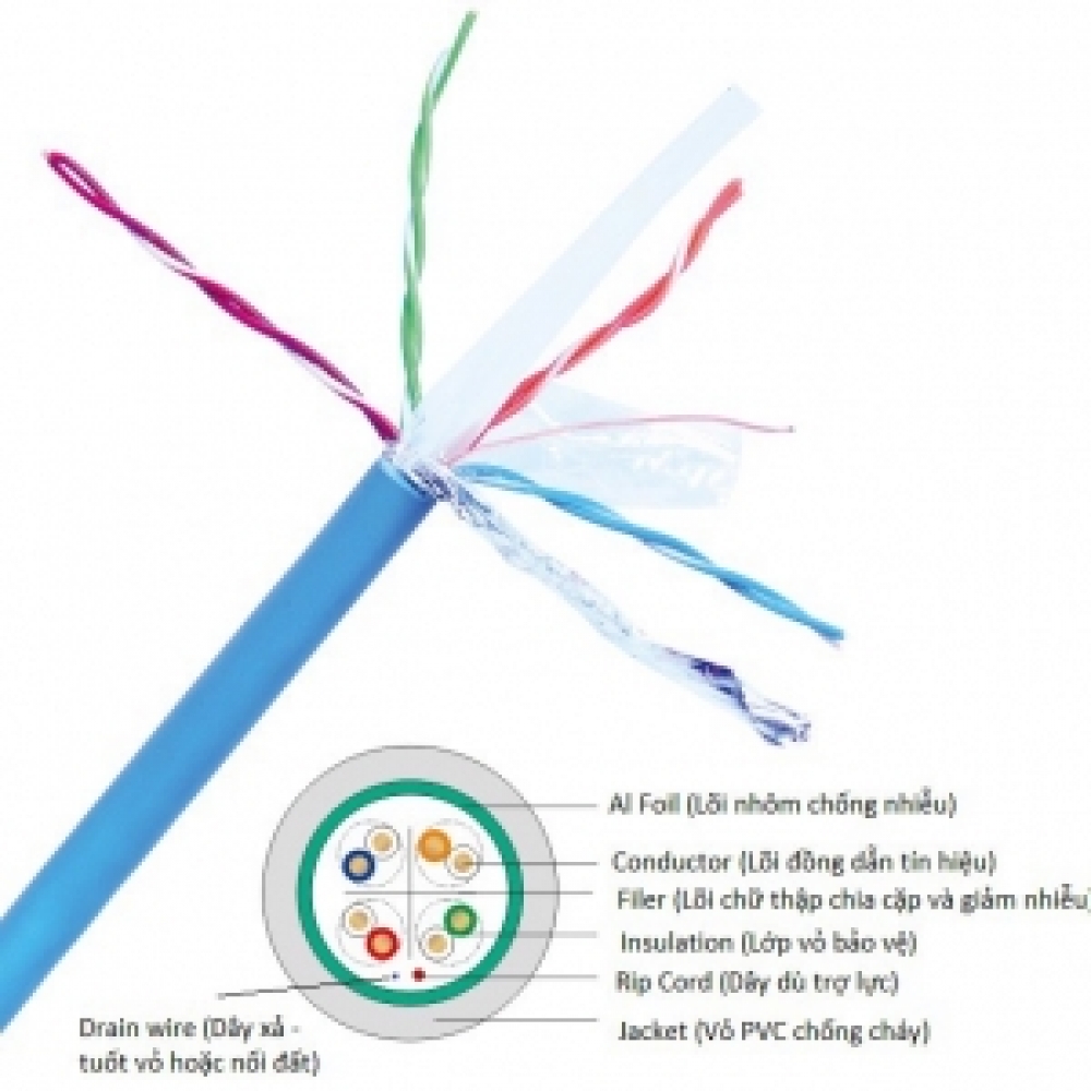 Dây cáp mạng NC5E-F10