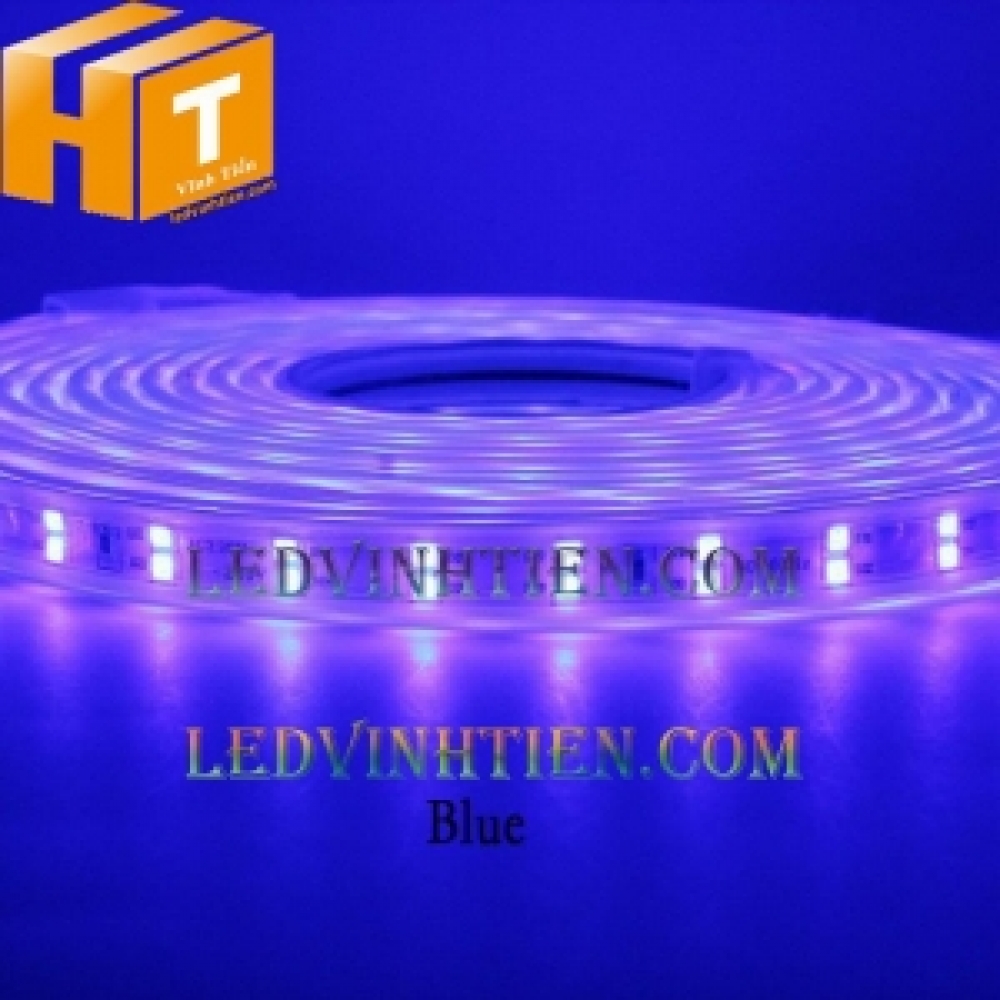 Đèn led dây 2835 led đôi 220v màu xanh dương