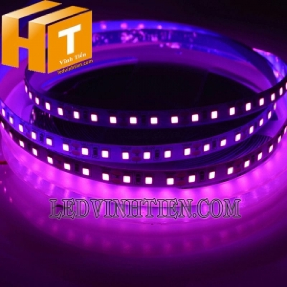 Đèn led dây 2835 12V màu hồng