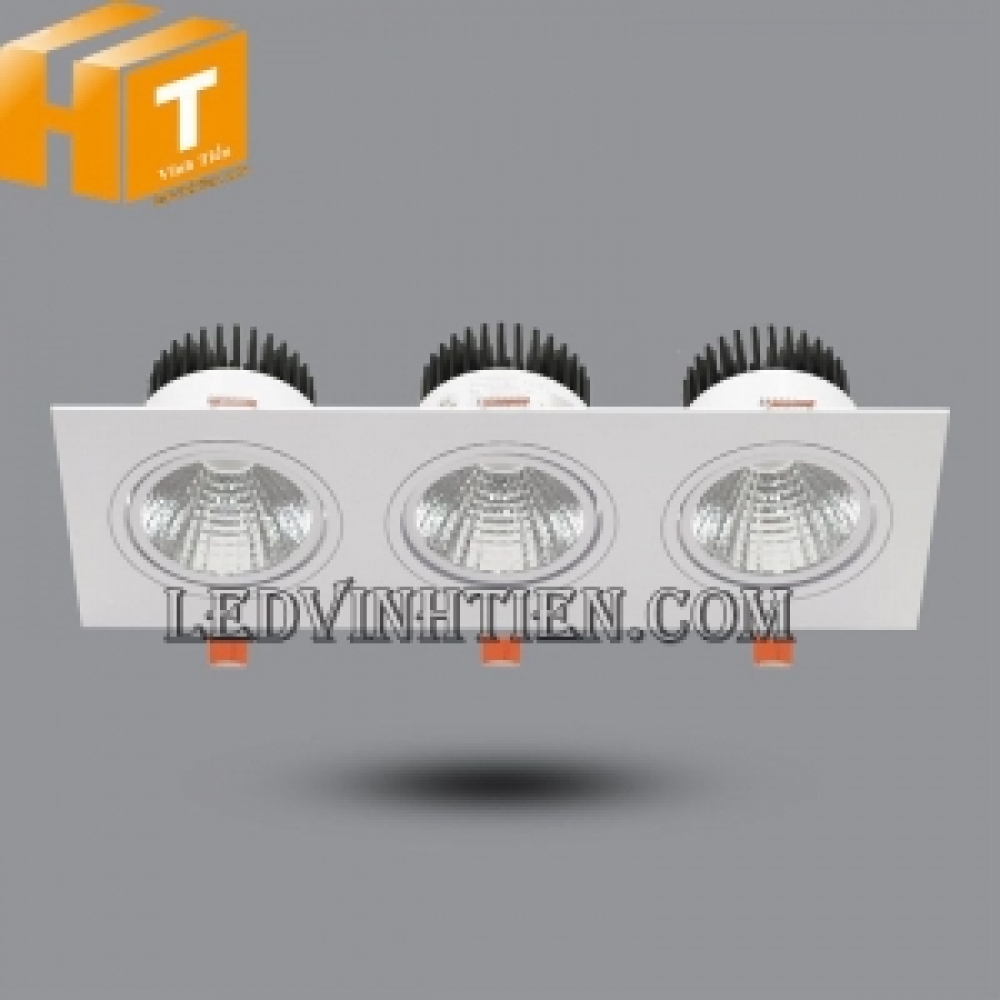 Đèn led donwlight 30w OLS310L30 Paragon