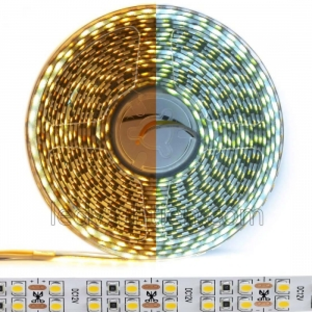 Led Dây 12V Màu Trung Tính  4000K