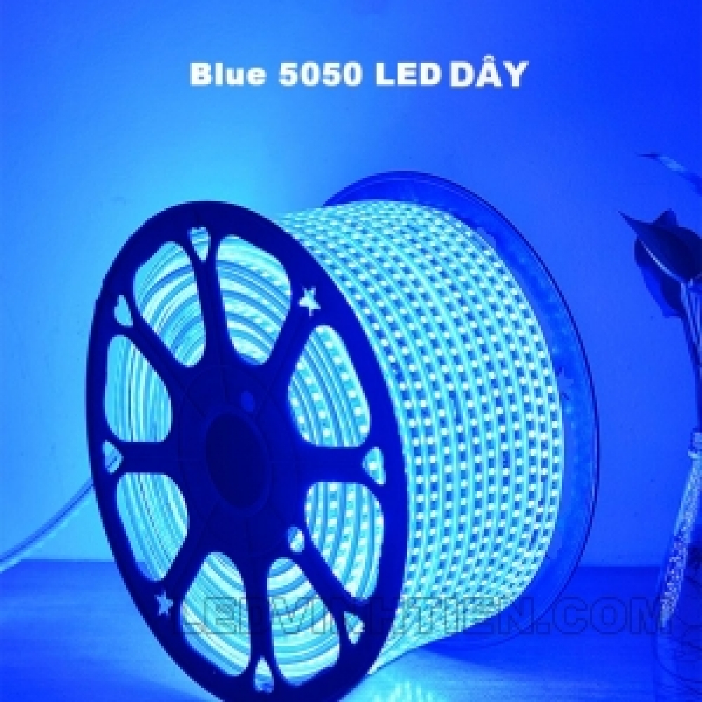 LED DÂY 5050 220V MÀU XANH DƯƠNG