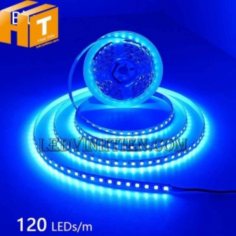 Led dây dán 2835 bản 5mm 120 led màu xanh dương