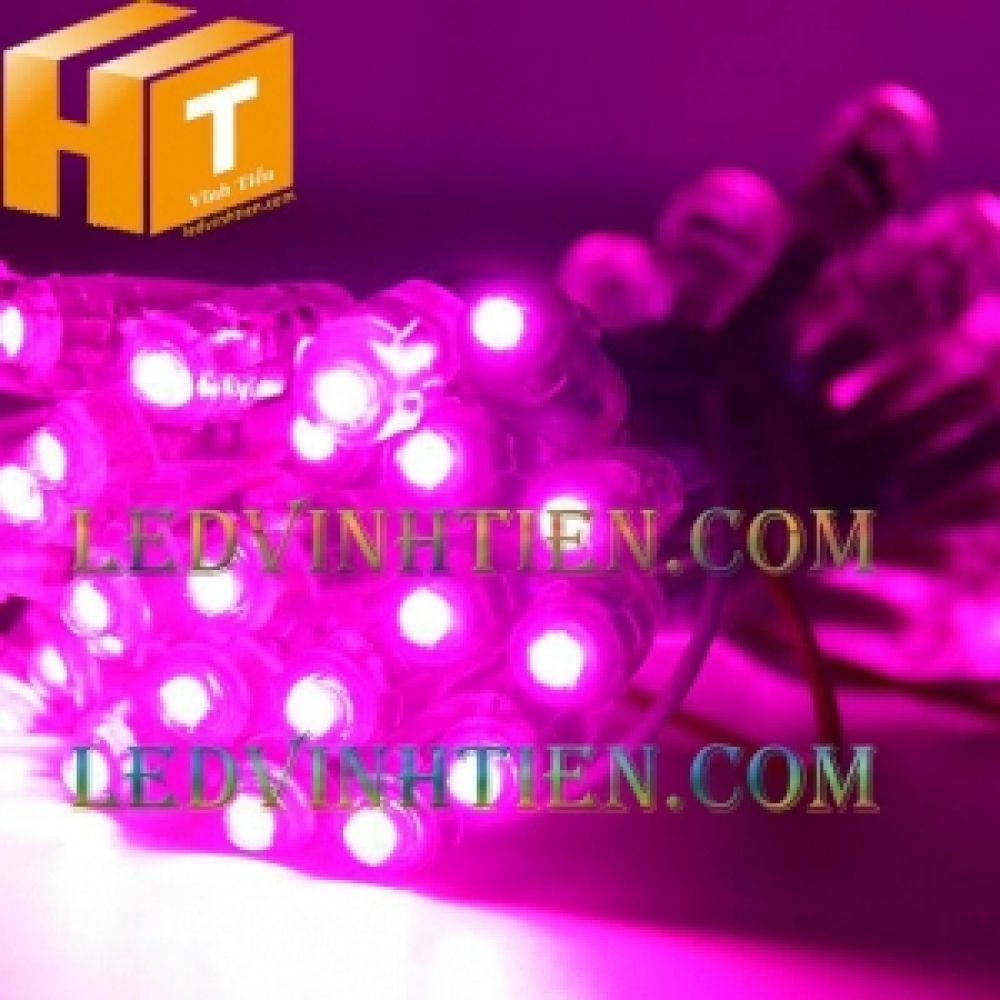 Led đúc F5 5V màu hồng