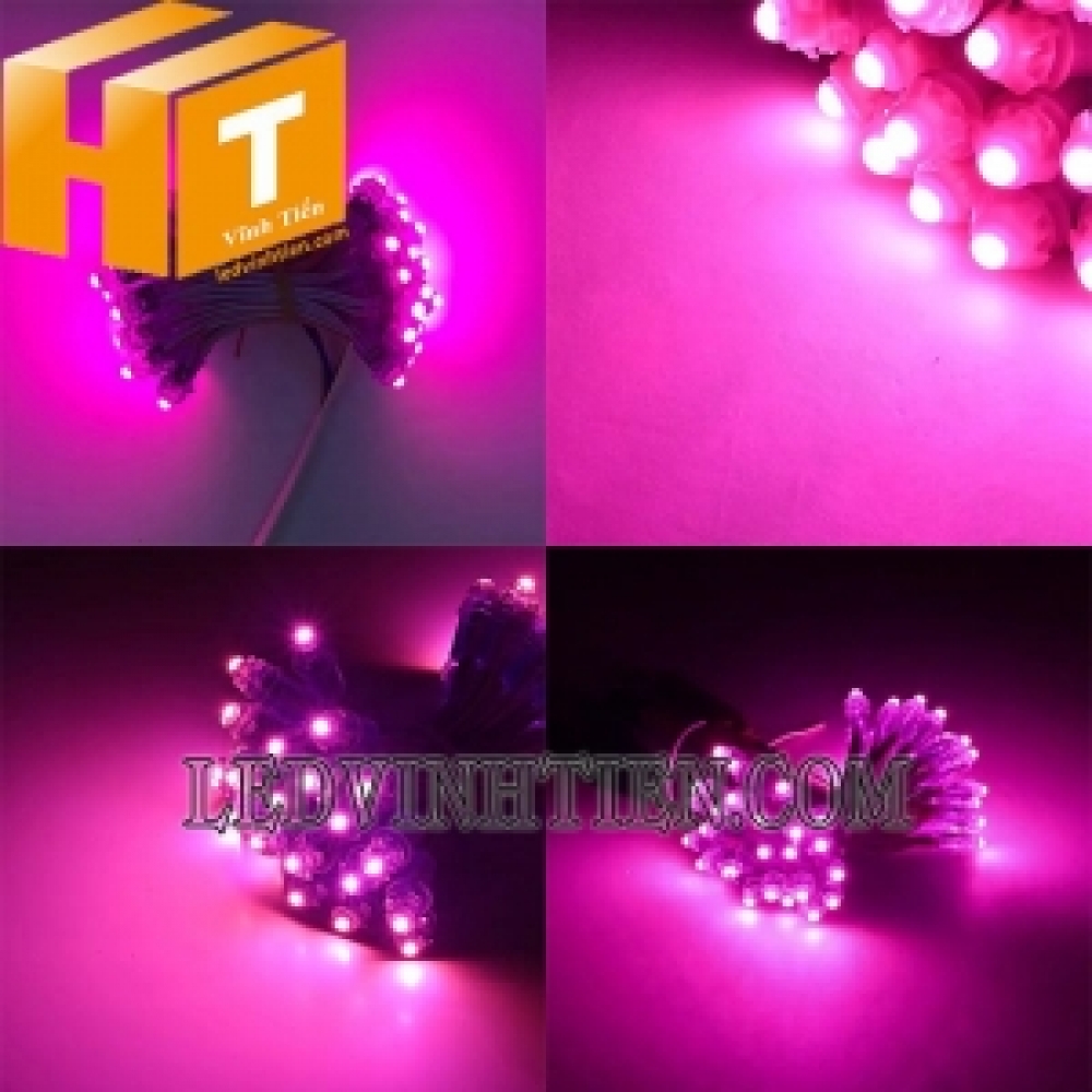 Led đúc f7 5V đầu đục màu hồng