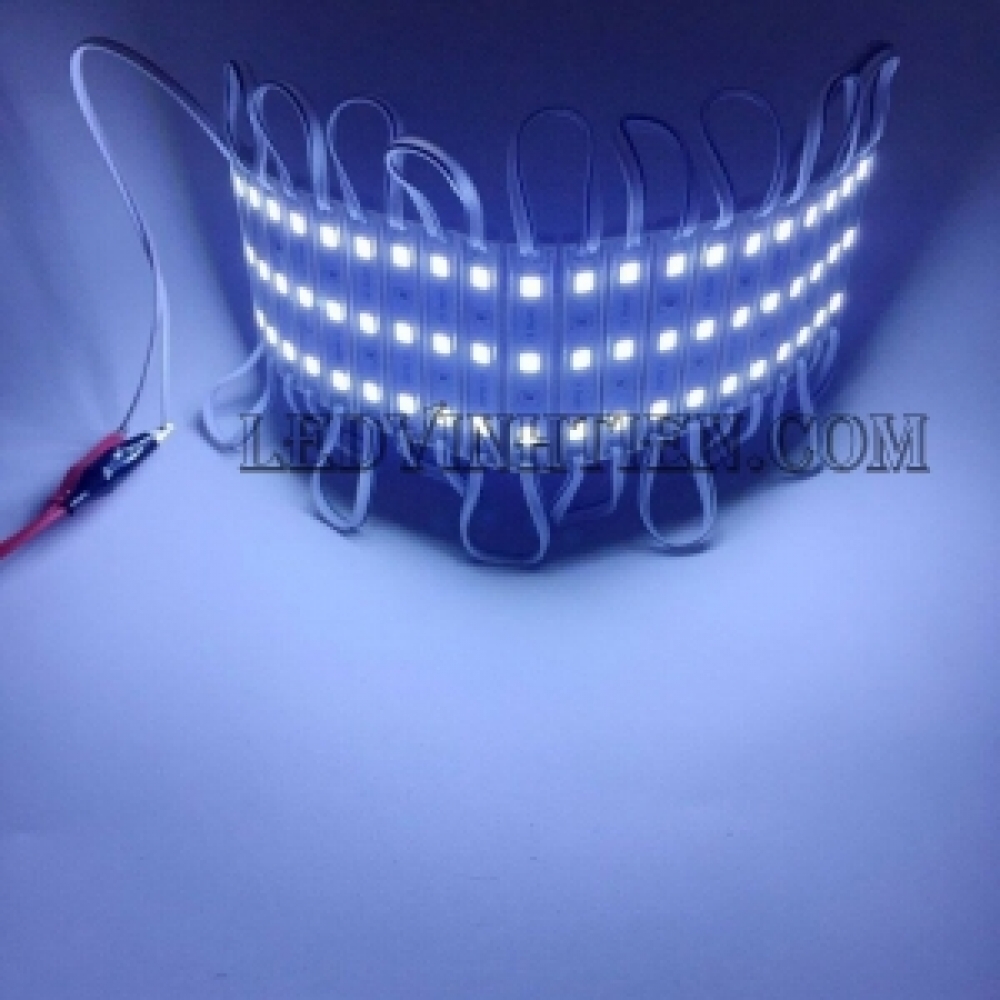 Led hắt 12V 3 bóng 5054 ánh sáng trắng