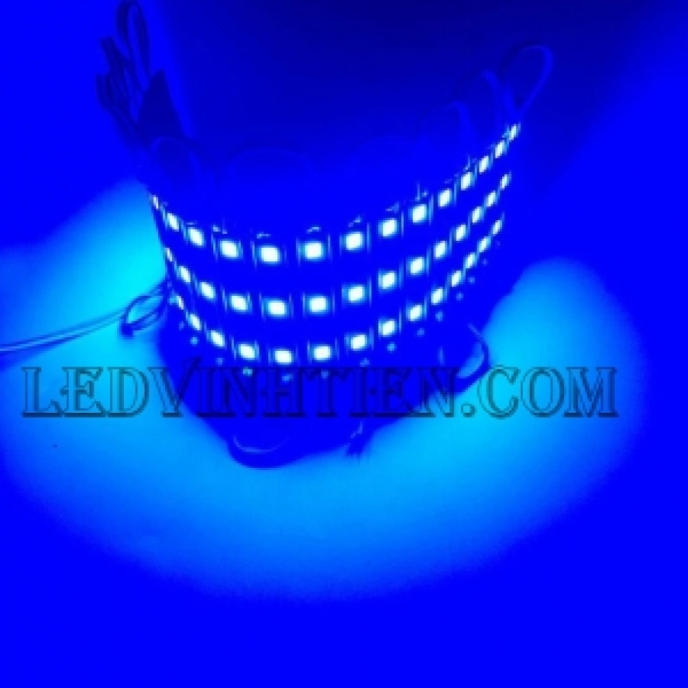 Led hắt 12V 5054 3 bóng xanh dương