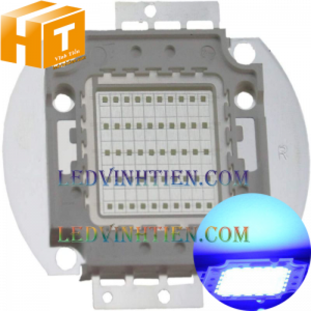 Tim đèn pha 30w xanh dương