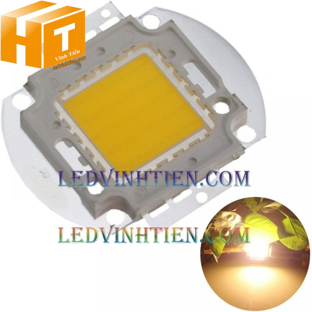 Tim đèn pha 100w màu vàng