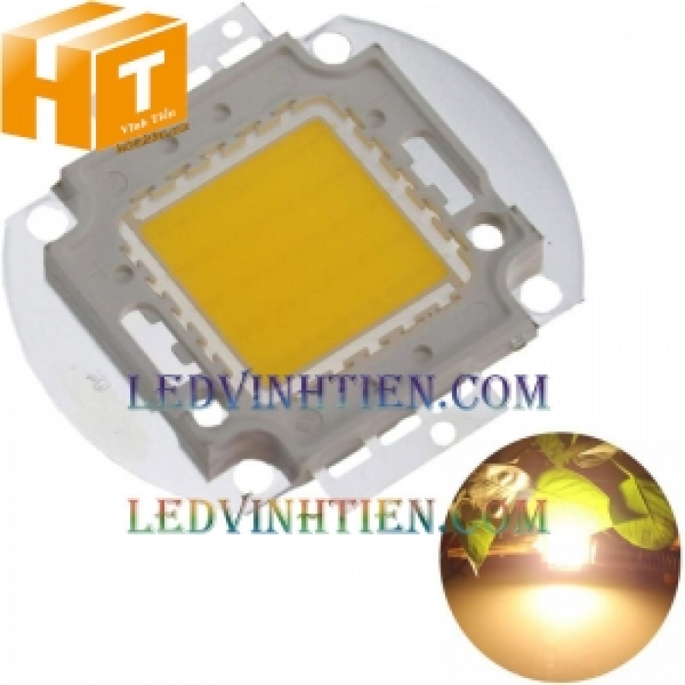 Tim đèn pha 100w màu vàng