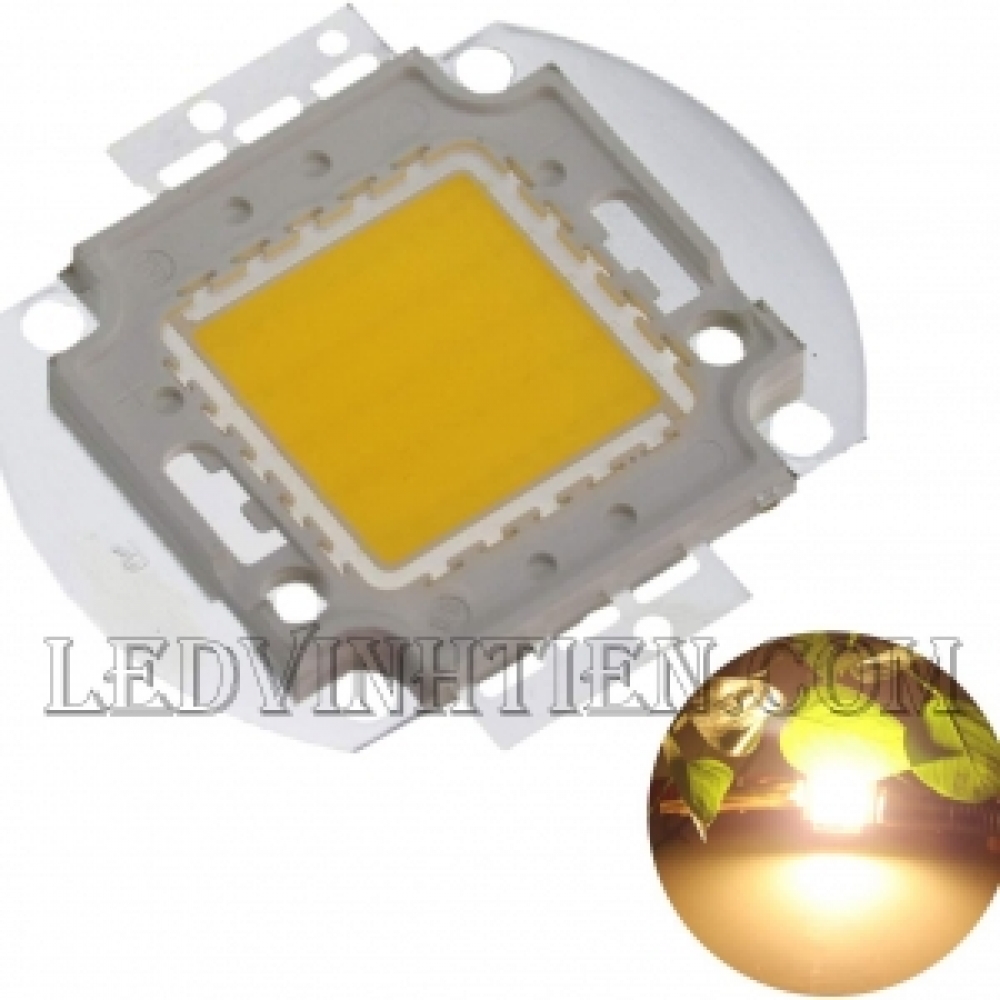 Tim đèn pha 50W màu vàng