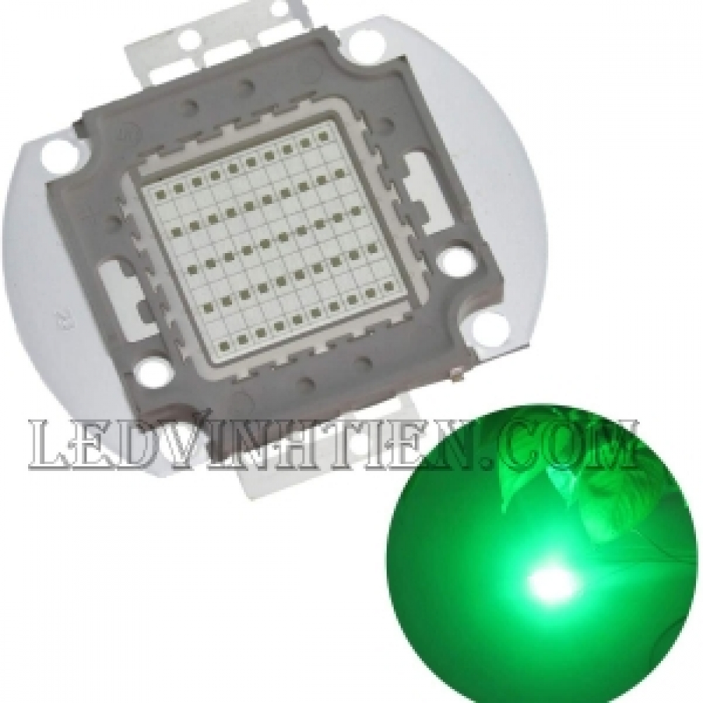 Tim đèn pha 50W xanh lá
