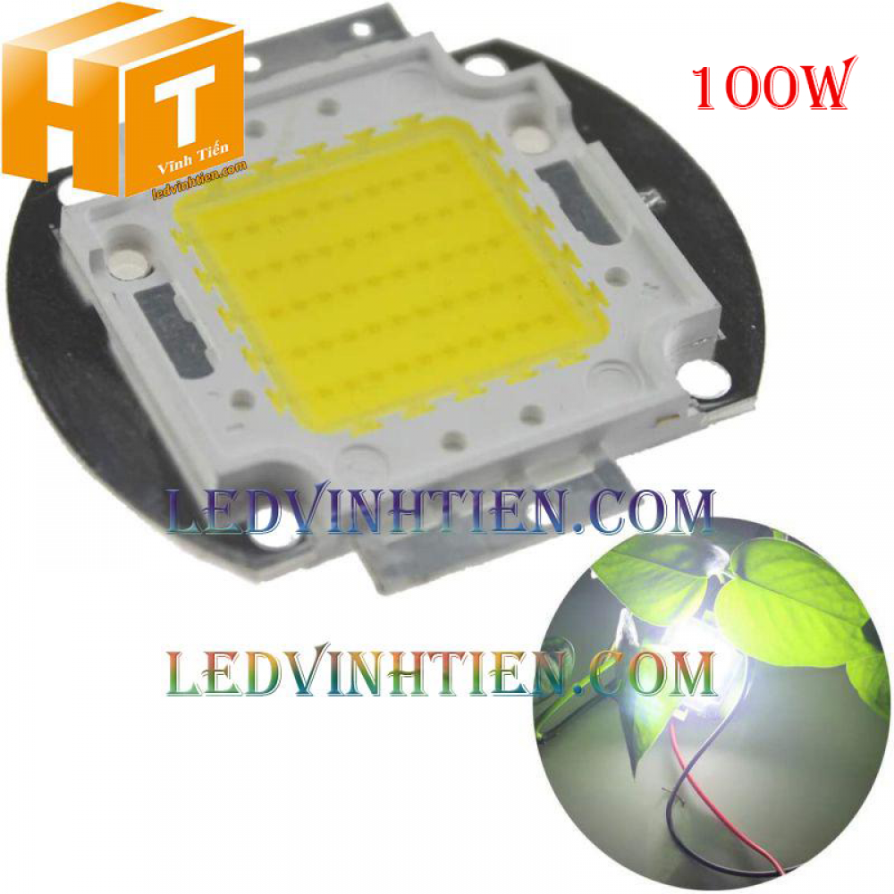 Tim đèn pha 100w màu trắng