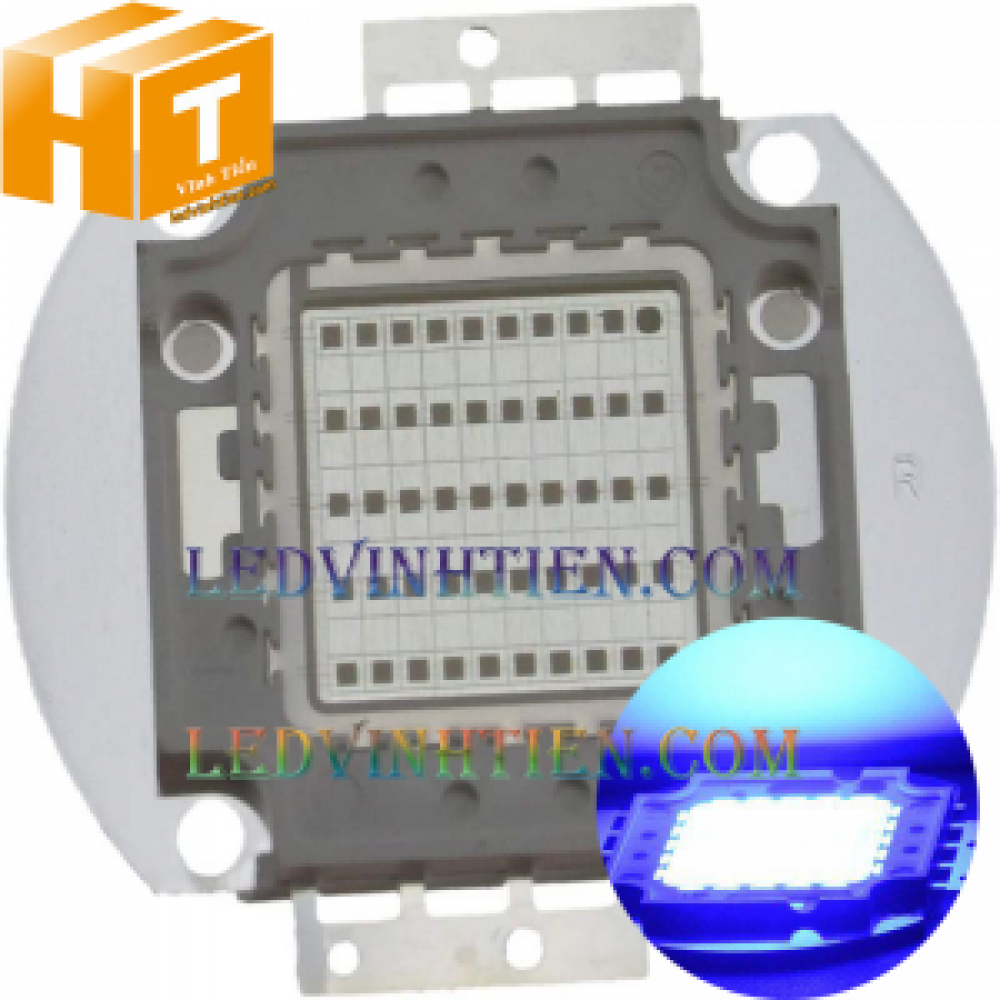 Tim đèn pha 20w xanh dương