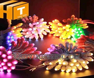 Các mẩu bóng led F5, F8 DC12V, 5V quấn cây, biển quảng cáo ngoài trời