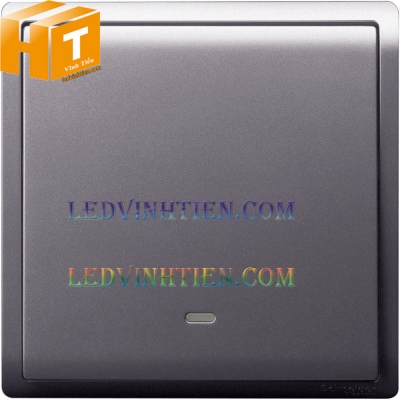 Công tắc tạm thời 10A 1 gang schneider