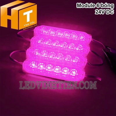 Led module 6 bóng 24V màu hồng