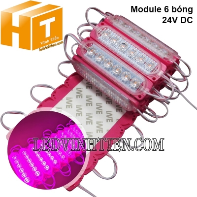 Led module 6 bóng 24V màu hồng