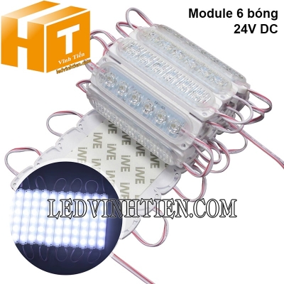 Led module 6 bóng 24V màu trắng