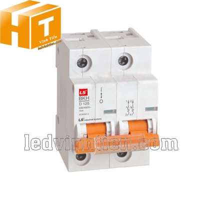 Aptomat LS MCB 2P 100A 10kA