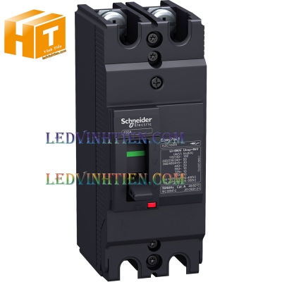 CB Schneider MCCB EasyPact 2P 40A