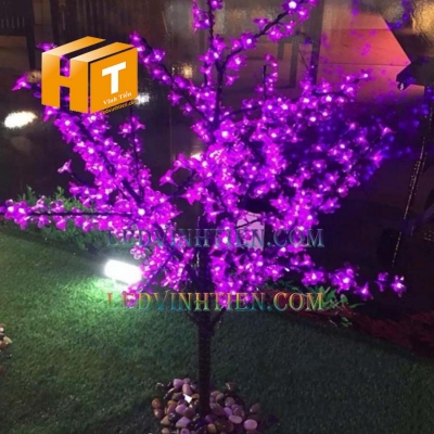 Cây hoa mai đèn led 2m màu tím