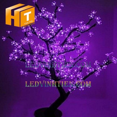 Hoa đào đèn led 5m màu tím