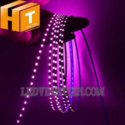 Led dây 12V 2835 120 led/m 3mm màu hồng
