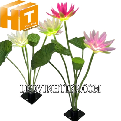 Đèn hoa sen led tự nở đủ màu