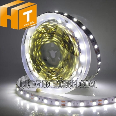 Đèn led dây 5050 12V ánh sáng trắng