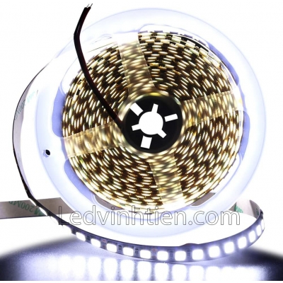 Đèn Led Dây 12V 5054 Màu Trắng