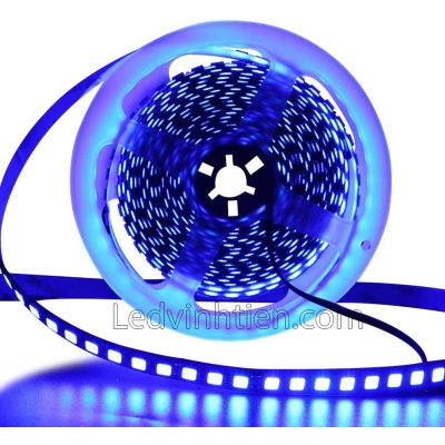 Led Dây 12V 5054 Màu Xanh Dương