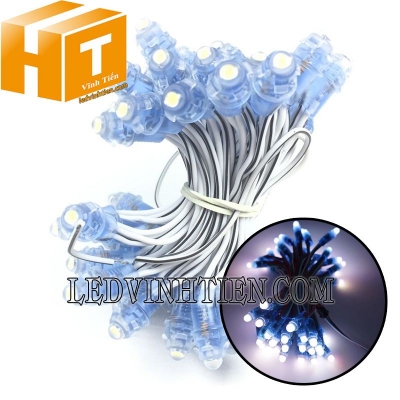 Led đúc f7 5V đầu trong màu trắng