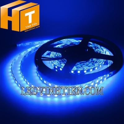 Led dây 12V 2835 120 led/m 3mm xanh dương