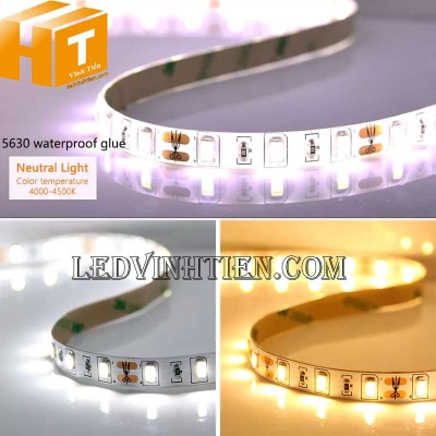Led dây 12V 5730
