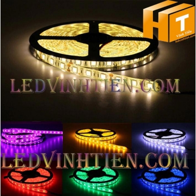 Led dây 24V 5050 màu vàng