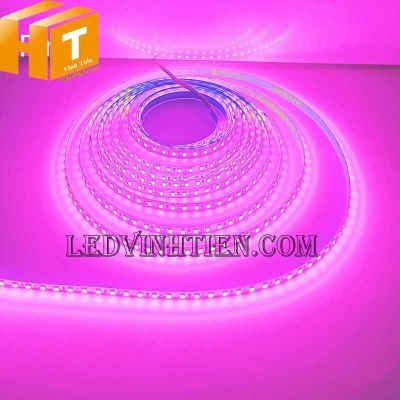 Led dây dán 2835 bản 5mm 120 led màu hồng