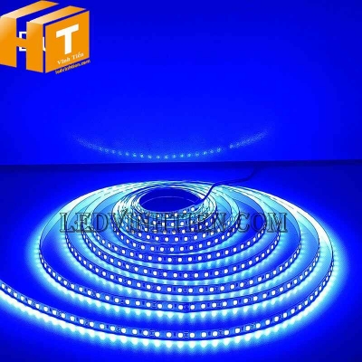 Led dây dán 2835 bản 5mm 120 led màu xanh dương