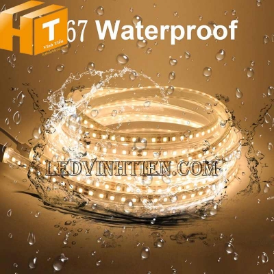 Led dây 12V bọc silicon