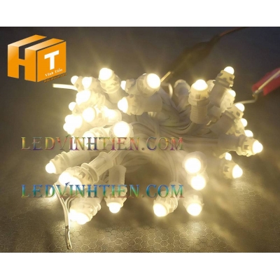 Led đúc F5 12V đế 9mm đục vàng nhạt