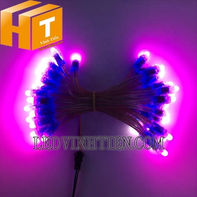 Led đúc f7 5V đầu đục màu tím