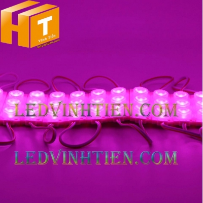 Led hắt 3 bóng 3030 màu hồng