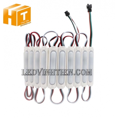 Đèn Led module 12V Cob WS2811
