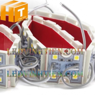 Led module 4 bóng 5054 sáng trắng