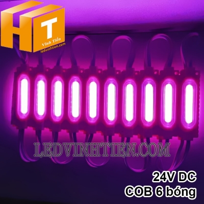 Led hắt COB 6 bóng 24V màu hồng