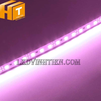 Led thanh nhôm 24V màu hồng
