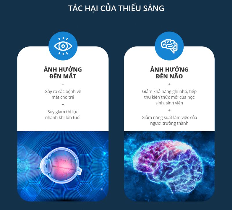 Tác hại của ánh sáng xanh và thiếu ánh sáng, ảnh minh họa chi tiết