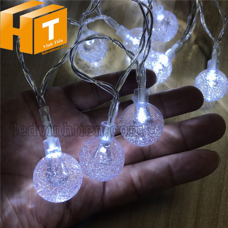 Led dây bi bọt nước bình dương